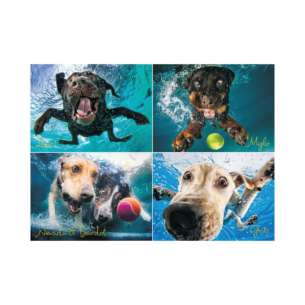 Willow Creek Press 1000pc Puzzle - Underwater Dogs Splash-TCG Nerd